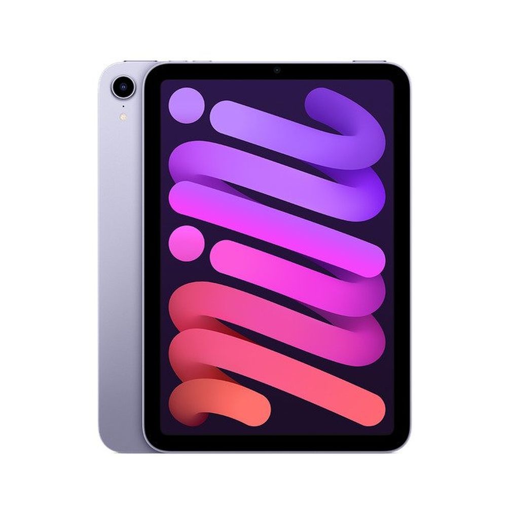 納得できる割引 即日受渡可????‍♀️美品 iPad よかっ Cellular Wi-Fi 64G mini iPad