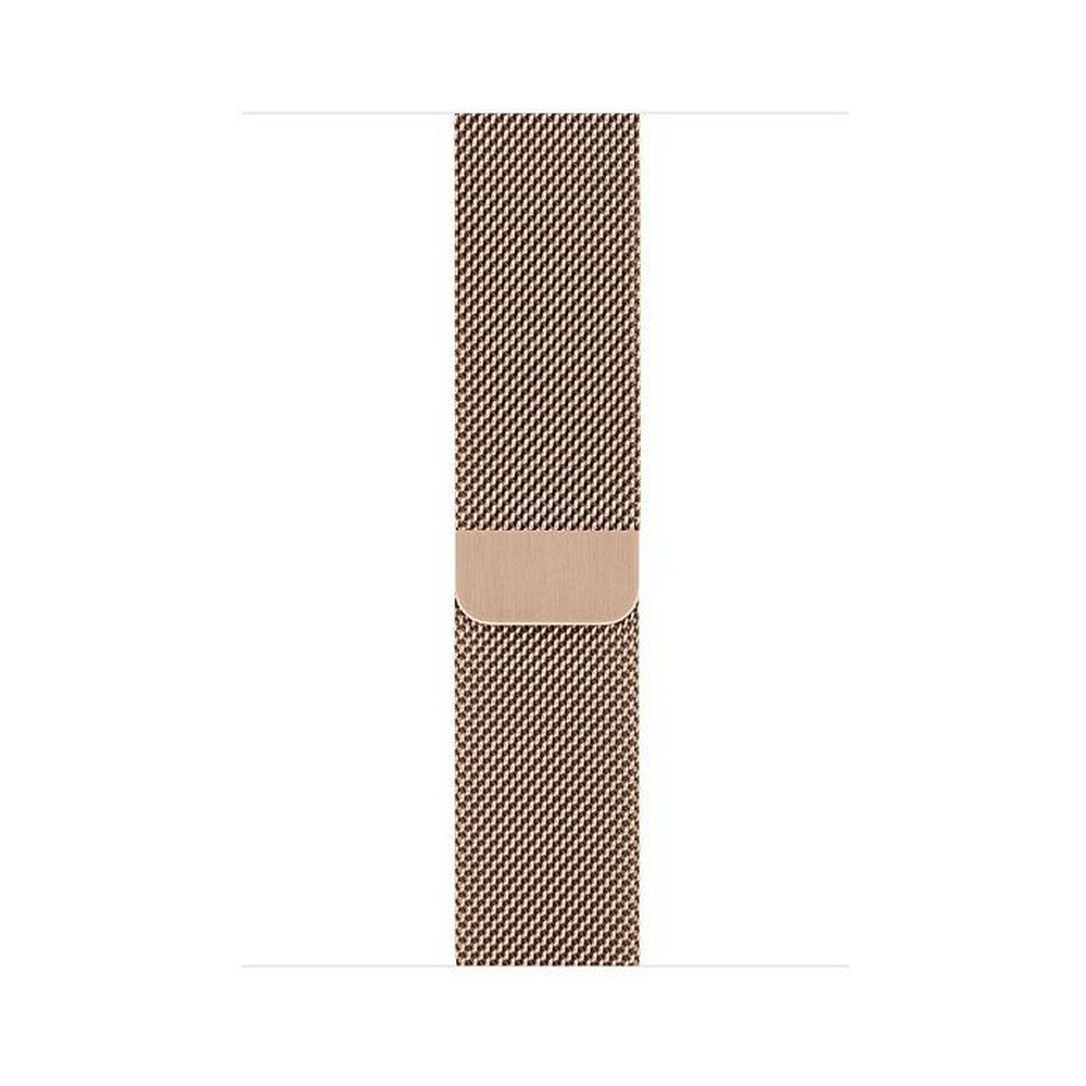 Gold stainless steel case store with gold milanese loop