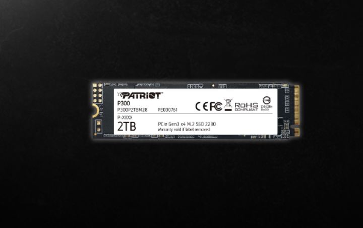Patriot P300 PCIe NVMe Gen 3 x4 2TB SSD